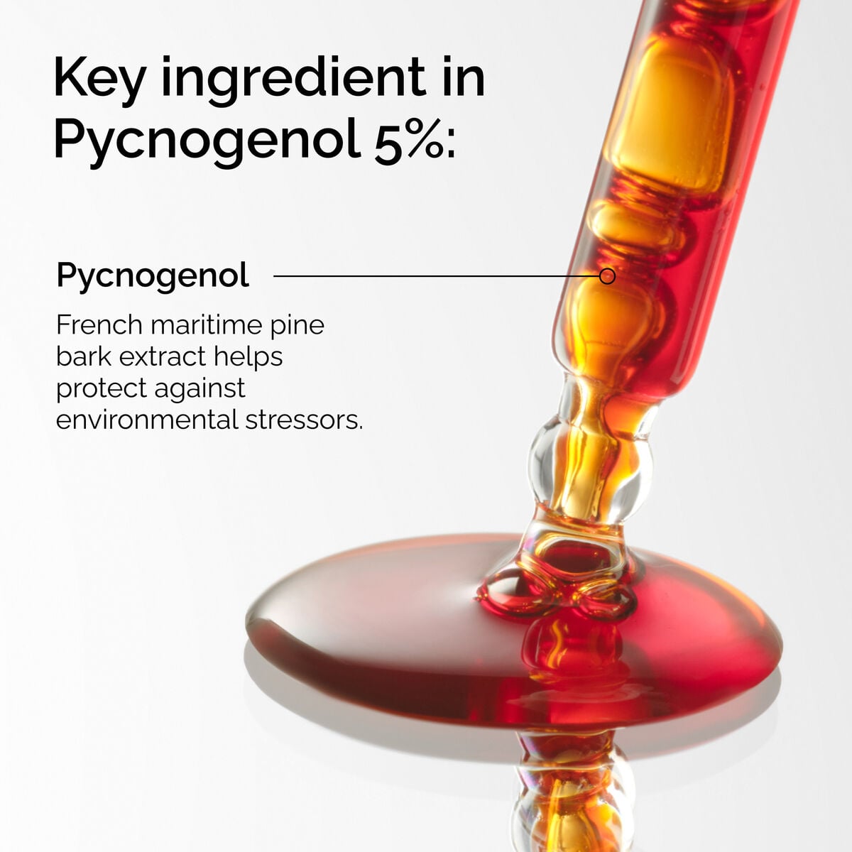pycnogenol-5-d9 FY25-D41247-ORD-Web-PDP-Pyc-5pct-1x1-EN-2a.jpg