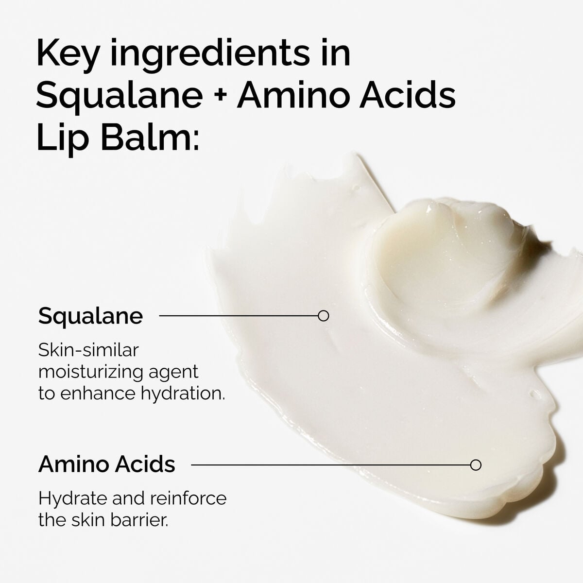 squalane-amino-acids-lip-balm-q1 FY25-D41247-ORD-Web-PDP-Sql-Amino-Lip-1x1-EN-2a.jpg